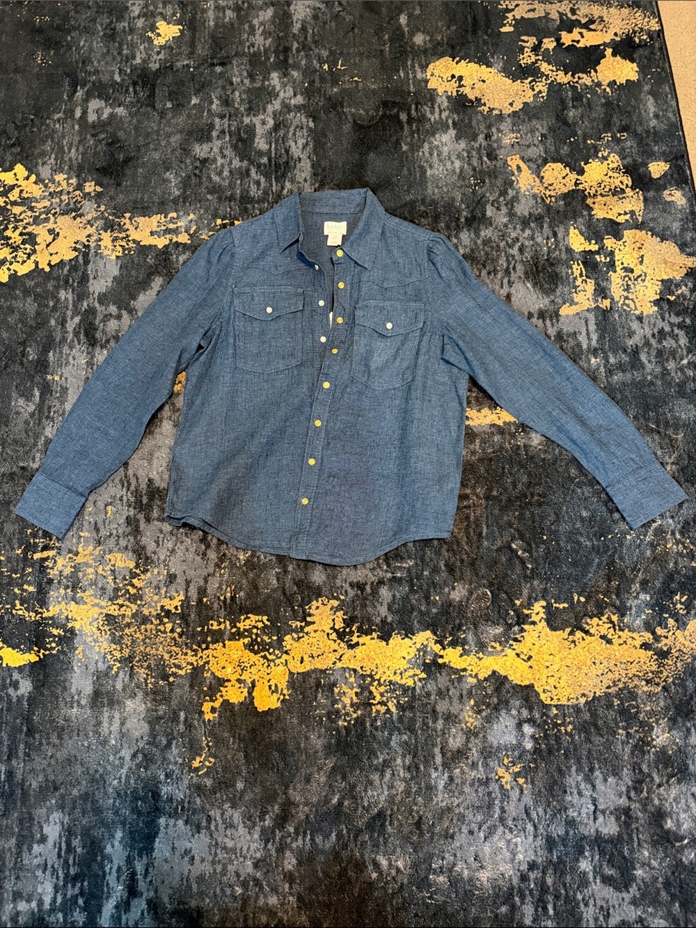 Nicole Miller Blue Long-Sleeve Button Front Shirt
